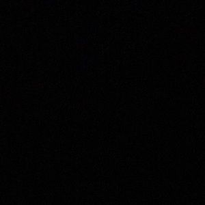 Meet your Posher, Cheyenne